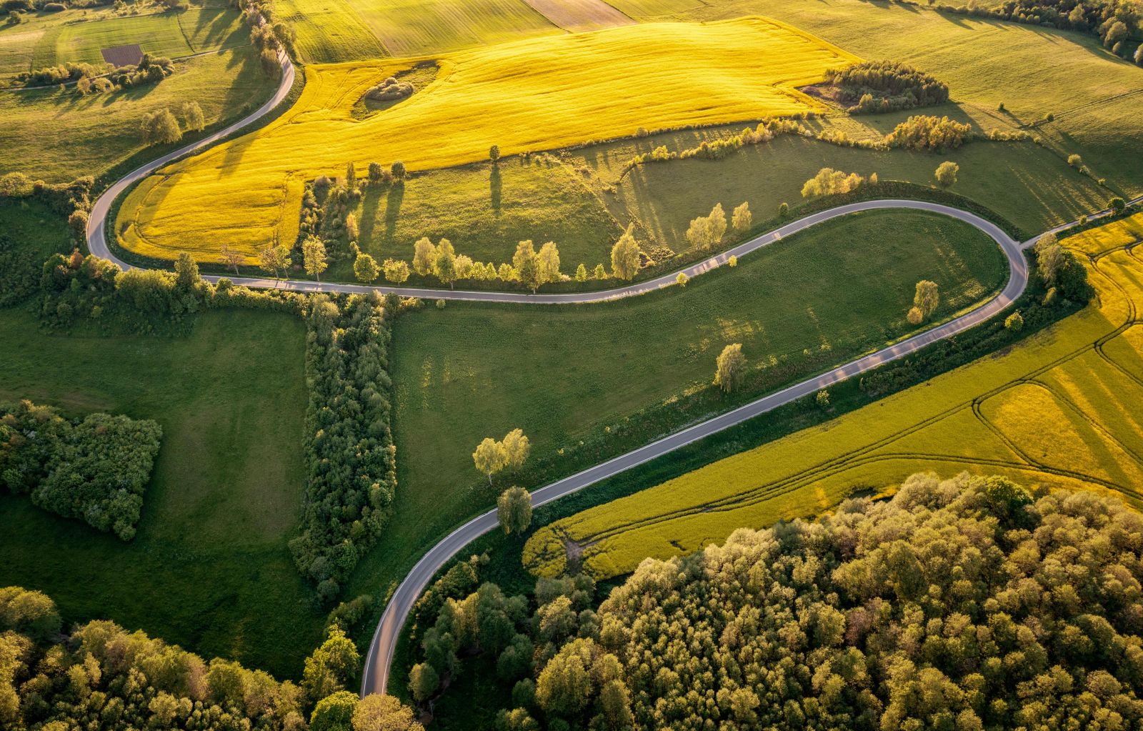 Unibep ze Srebrnym Listkiem CSR POLITYKI